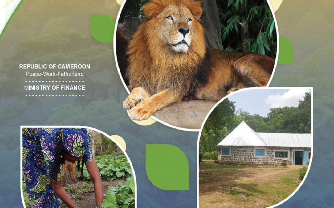 Cadre de financement durable du Cameroun