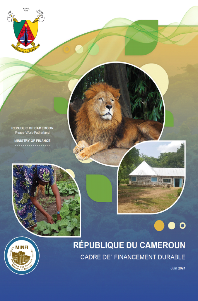 cadre-de-financement-durable-du-cameroun