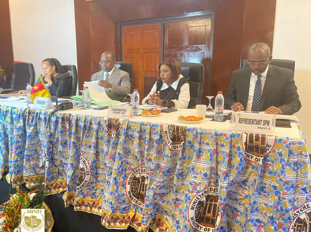 les-echos-de-la-deuxieme-session-du-comite-de-pilotage-du-pagfi-3