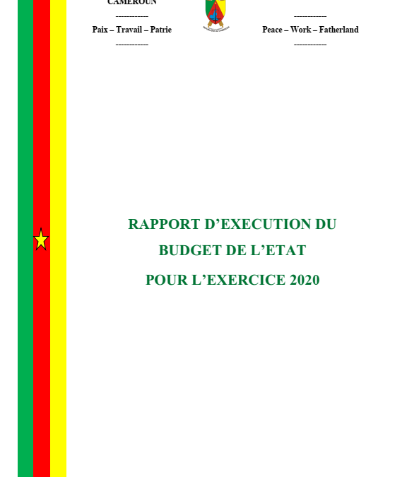 RAPPORT D’EXECUTION DU BUDGET DE L’ETAT POUR L’EXERCICE 2020