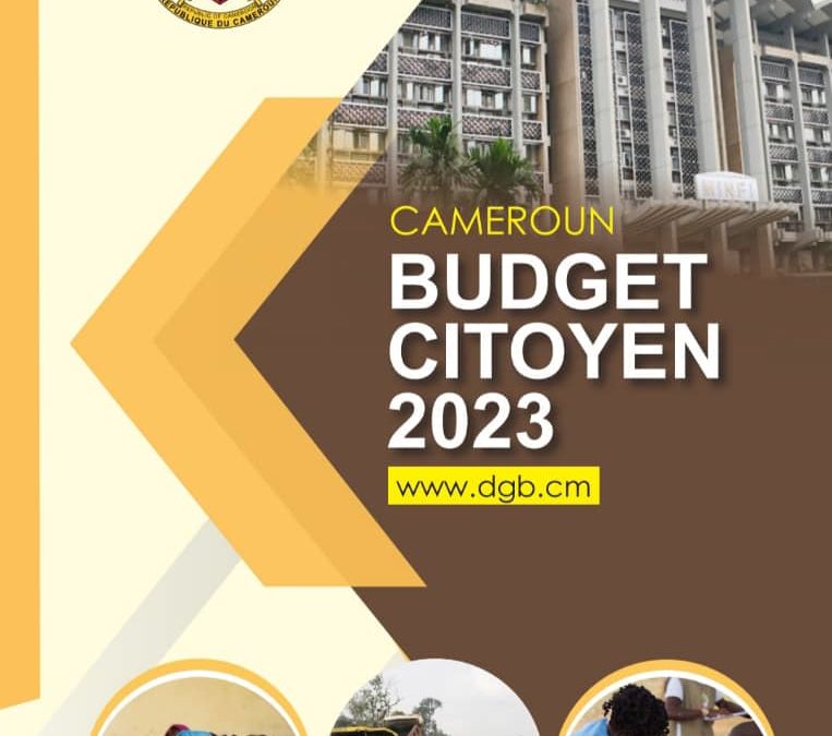 Le « budget citoyen » 2023 disponible