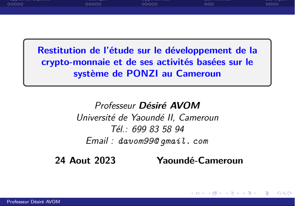 Documentation relative au séminaire sur le développement de la cryptomonnaie