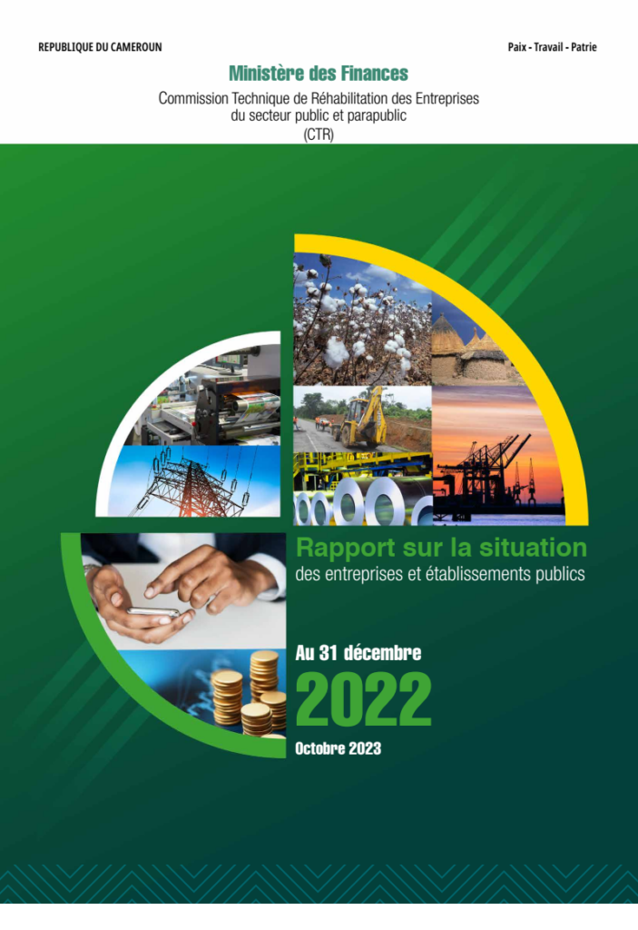rapport-sur-la-situation-des-entreprises-et-etablissements-publics-au-31-decembre-2022