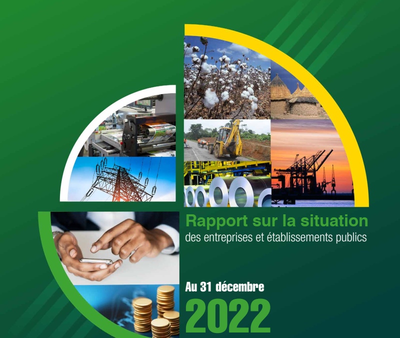 Rapport sur la situation des entreprises et établissements publics au 31 décembre 2022