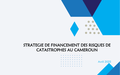 COMPTE-RENDU DE LA SOIXANTE HUITIEME SESSION DU COMITE ITIE
