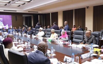 RAPPORT STRATEGIE DE FINANCEMENT DES RISQUES DE CATASTROPHES AU CAMEROUN
