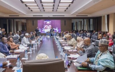 Mobilisation de ressources extérieures : le Cameroun prépare une facilité de financement de long terme et un financement relais transitoire.